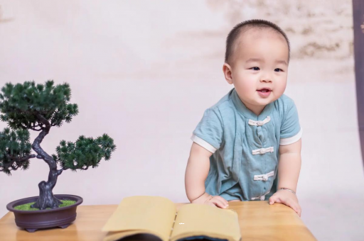 瑞安可爱的企鹅宝宝